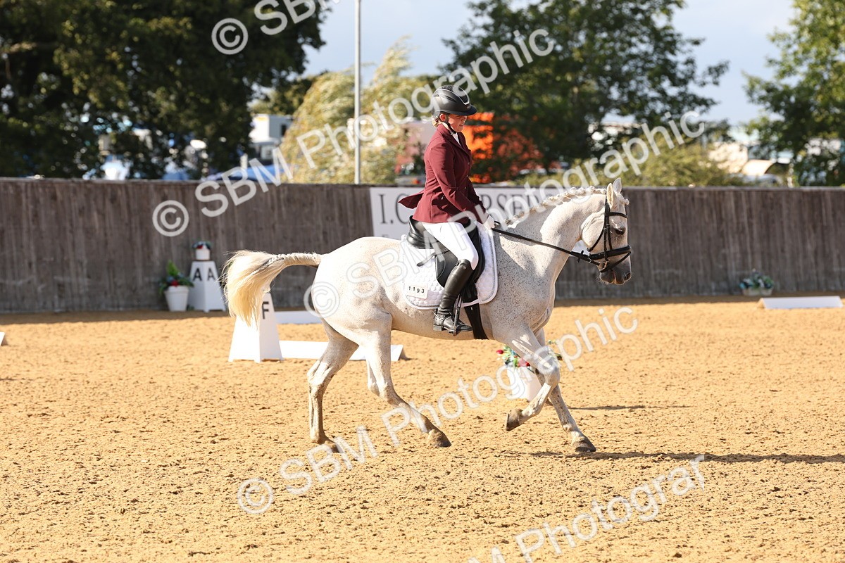 SBM_50476 - D12 - Small Tour Championship prelim 2