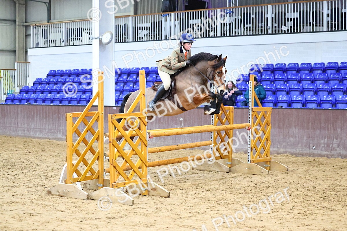 SBM_006578 - Class 43 - RIHS Qualifier Exceeding 43cms