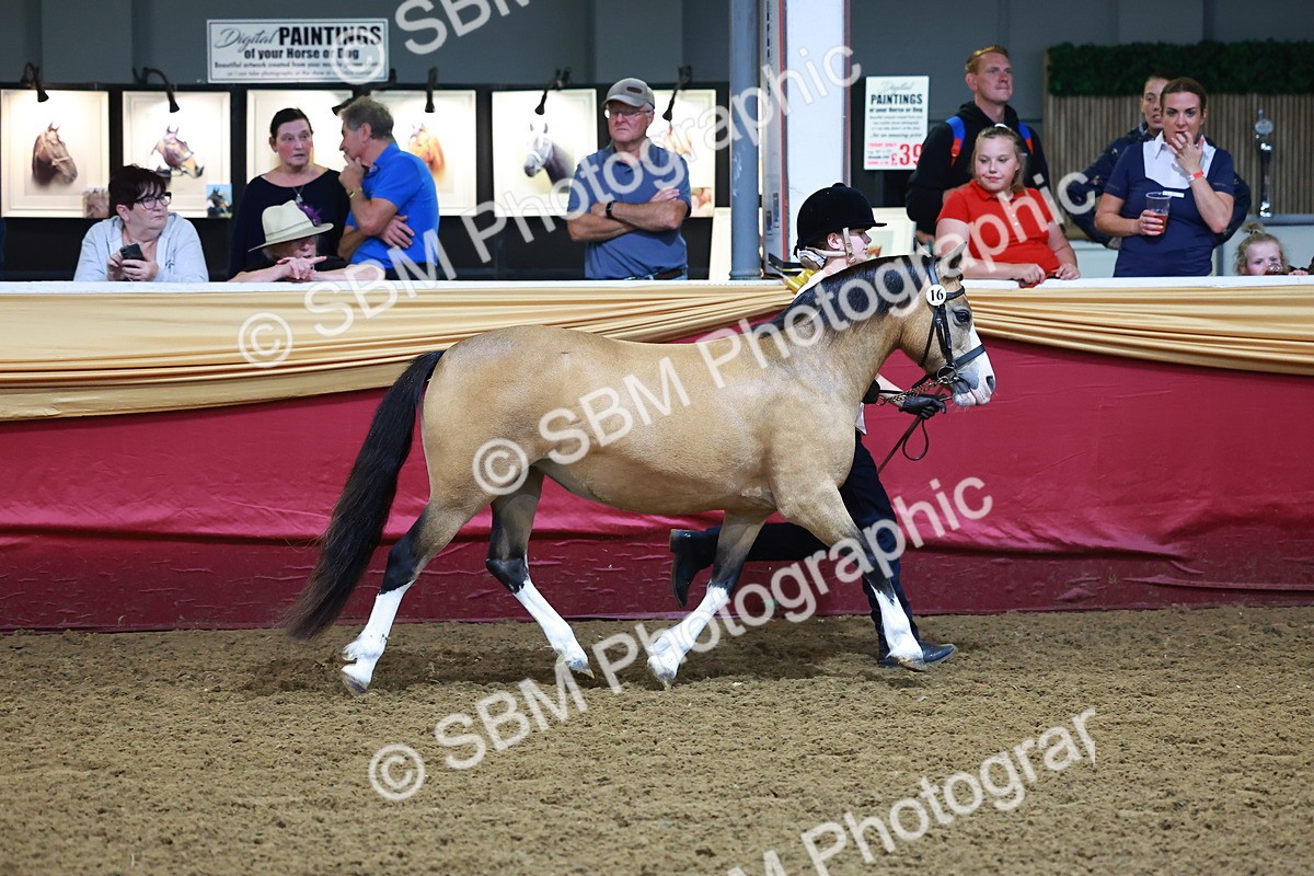 SBM_14735 - Class C - Novelty champ