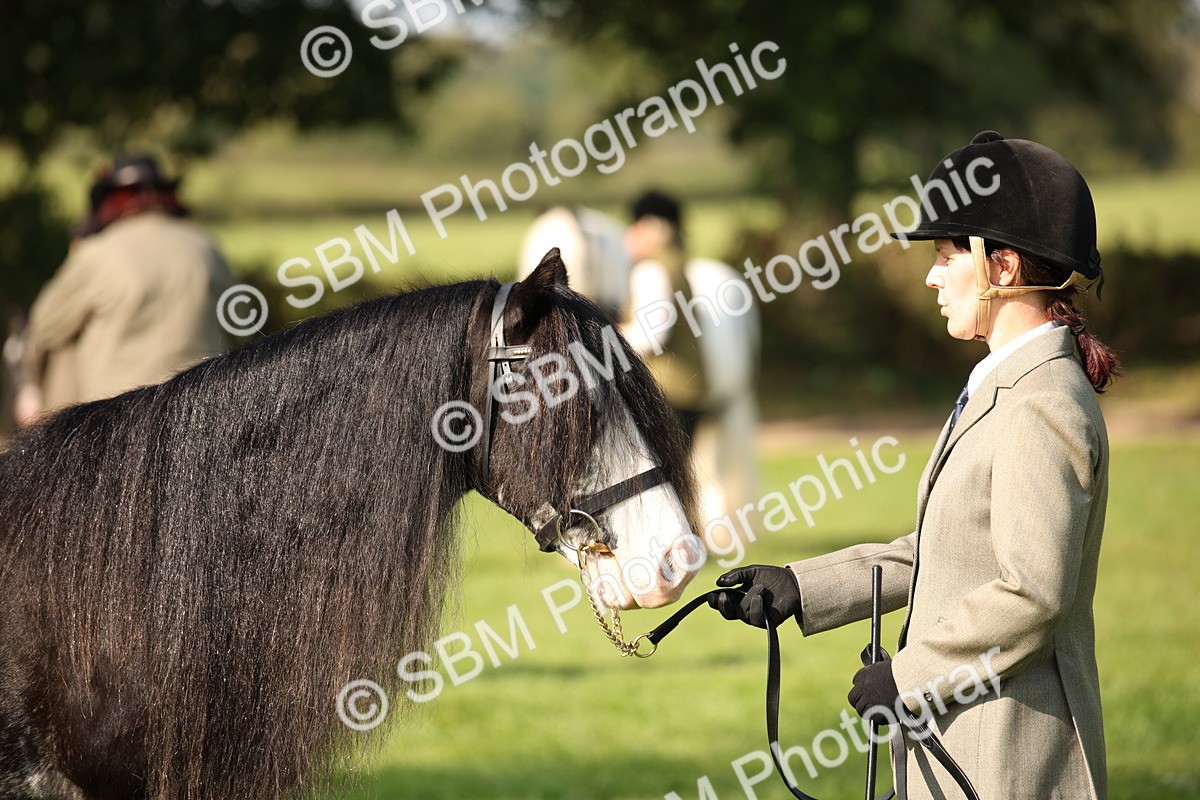 SBM_62252 - S55 - Traditional Cob In Hand