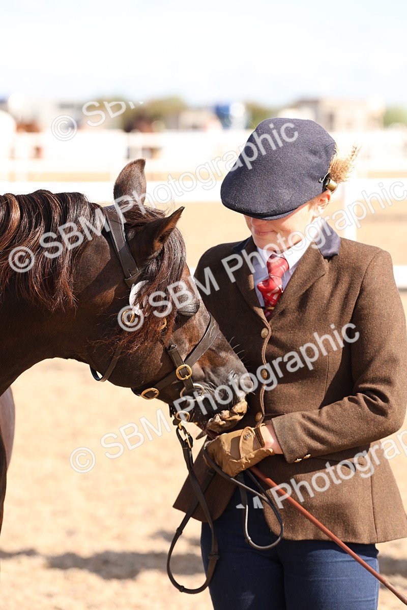 SBM_13959 - Class 205 - IH Show Pony - Show Hunter Pony
