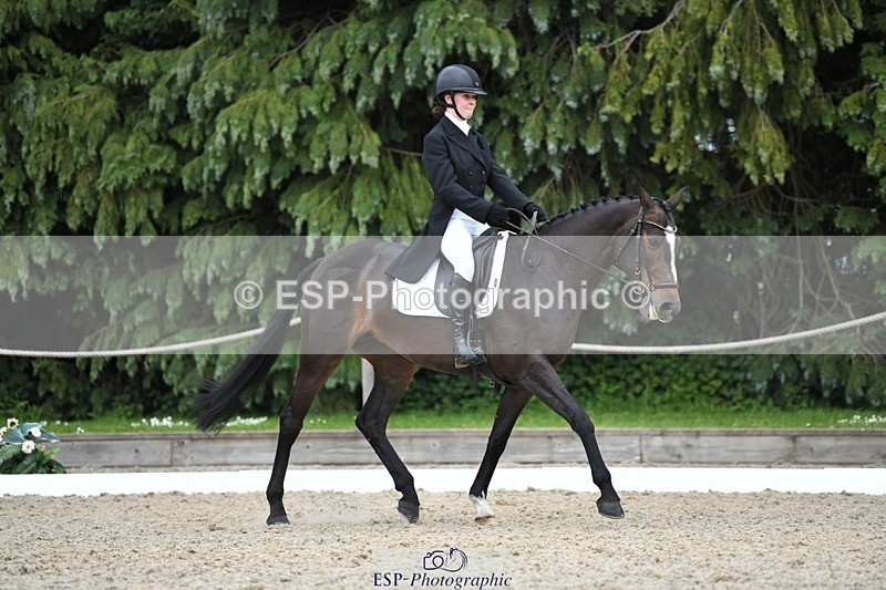 230525-142016-03129 - 320-CAVALIER_GUNFIRE-Tabitha_Baker-WEDTrotUp+DR