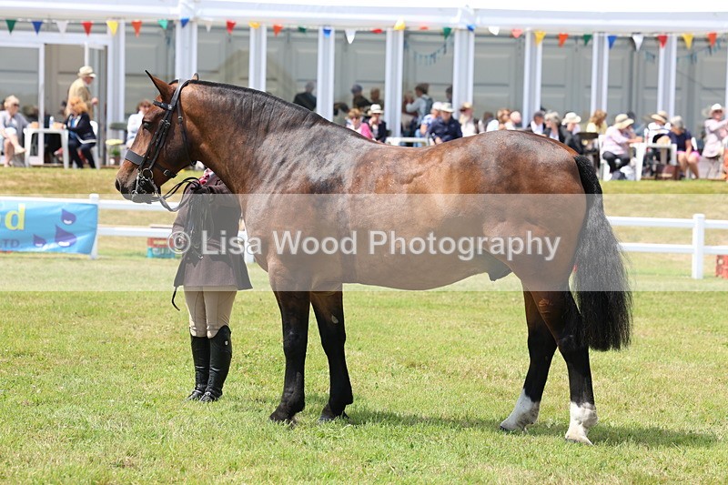 3E7A2217 - Class 10: Open Cob