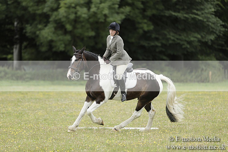BVR160717-1172 - Class 2 Dressage 16/07/17