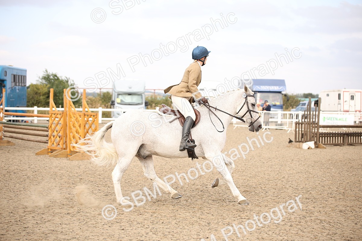 SBM_17357 - Class 410b - Working Veteran 90cm (20+)