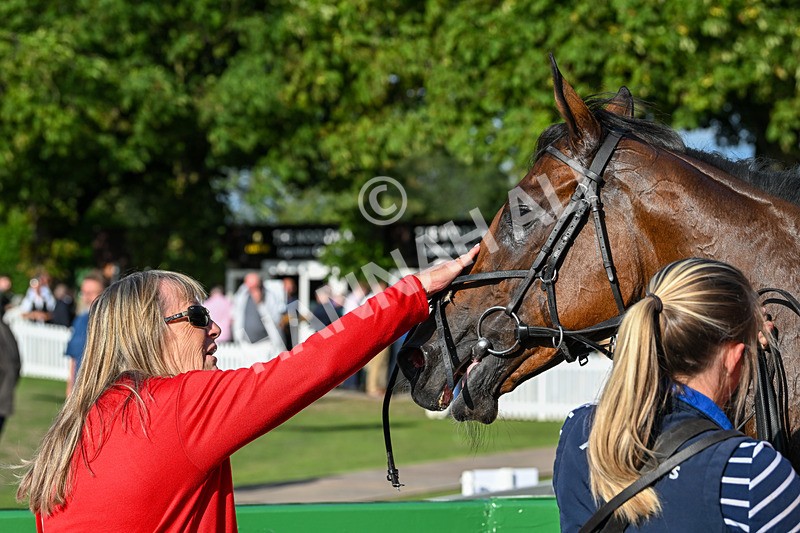 020825-Race 8-Dandy Dinmont-4040 - Race 8