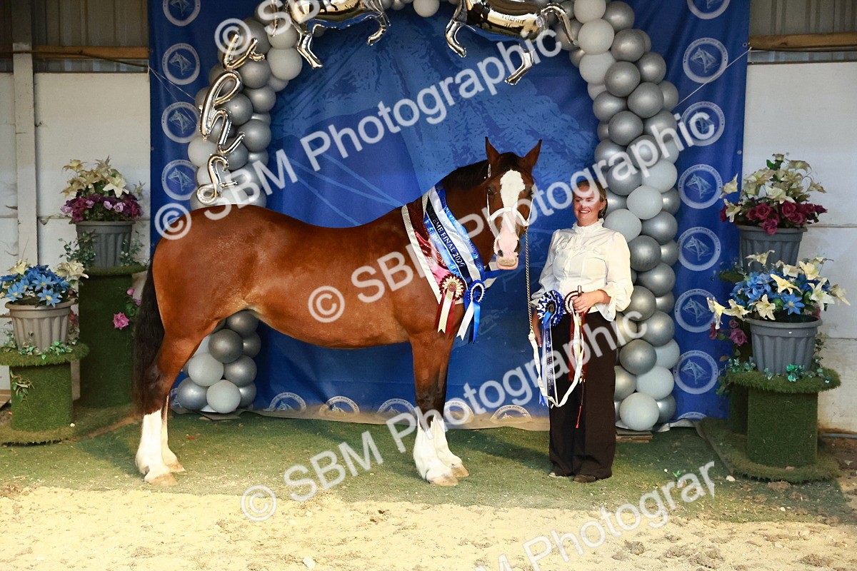 SBM_17994 - M&M Supreme Final Champ