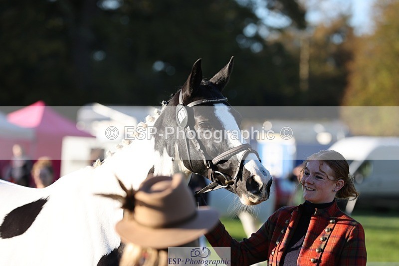 241027-083922-14724 - 317-Maddy.Greenaway-SPECIAL.VAN.DE.SMEDENPOORT