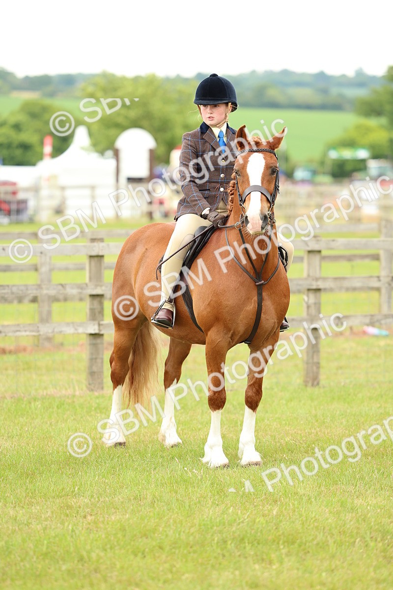 SBM_10380 - Class 44-45 - LIHS BSPS Open Nursery and Cradle Stakes