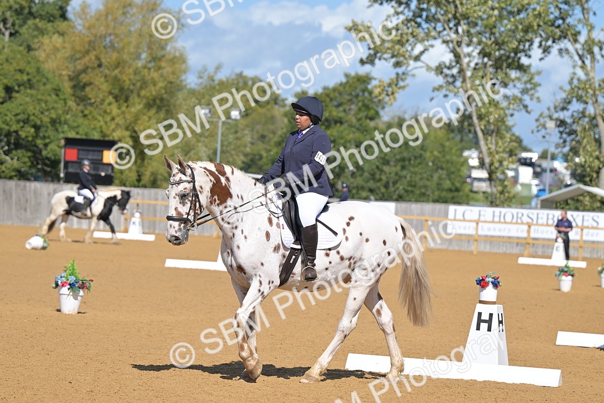 SBM_07876 - D8 - Small Tour Championship Prelim 1