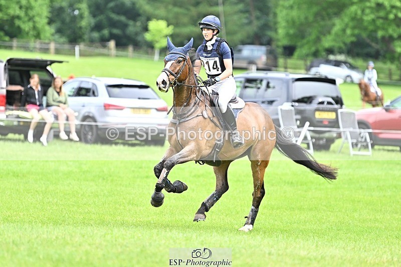 240525-150858-16191 - 214-DSH_GOLDEN_EYE-Lucinda_Mesquita