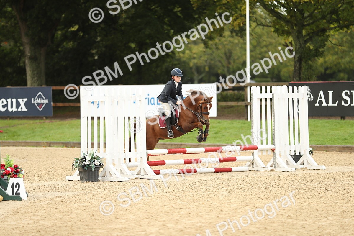 SBM_34226 - J60 Clear Round 50cm