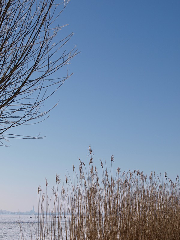  - Home in the Polder