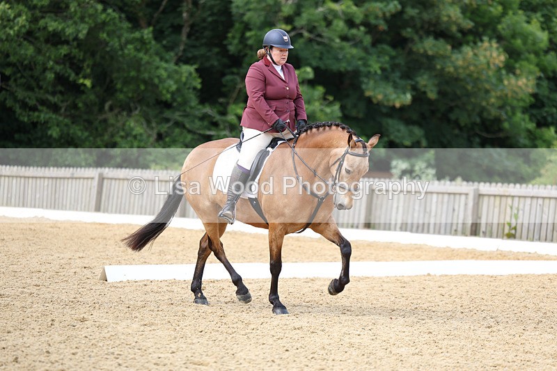 3E7A9101 - Class 2: Intro 1 2024 Section B