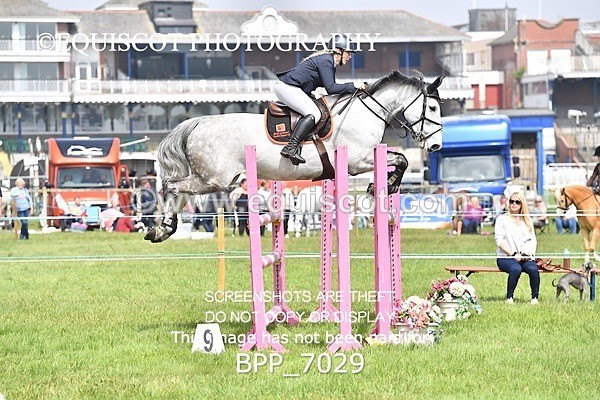 BPP_7029 - CLASS 3 RHS Fox Champ Qual (1.20m)