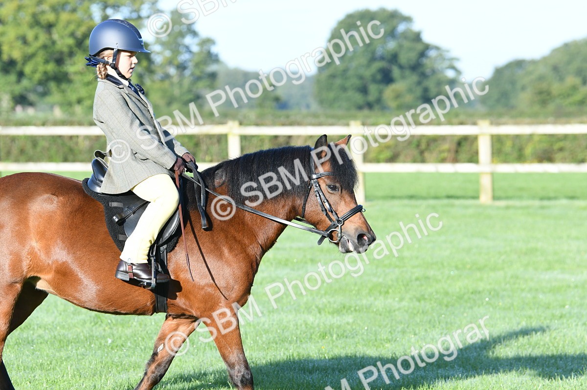 SBM_33888 - S16 - Condition & Turnout - Ridden