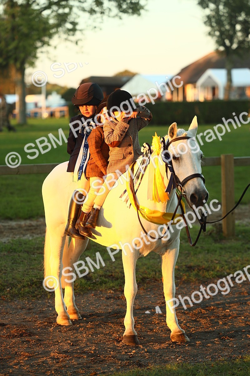 SBM_56746 - Fun & Versatile Supreme Championship