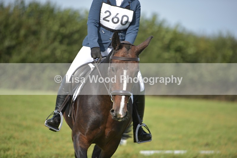 RAY_7794 - Class 2B: Trekenning Open: Dressage
