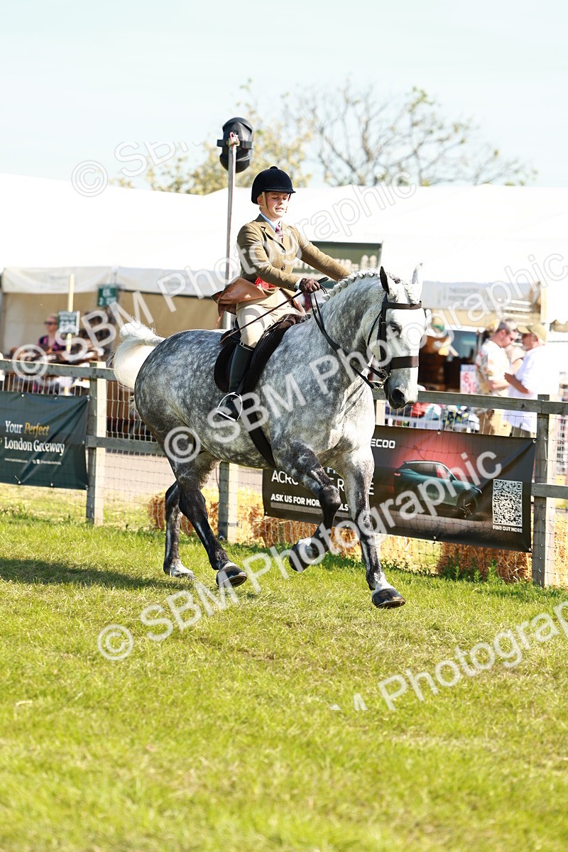 SBM_11858 - Class 66-69 - RIHS Ridden Hunters Inc Small Hunter