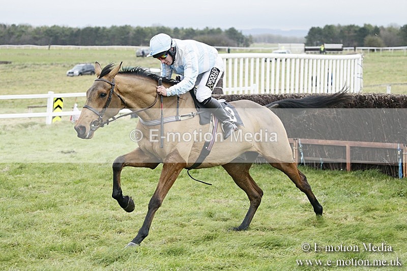 PtP 031217 42 - Hursley Hambledon Point-to-Point Larkhill 03/12/17