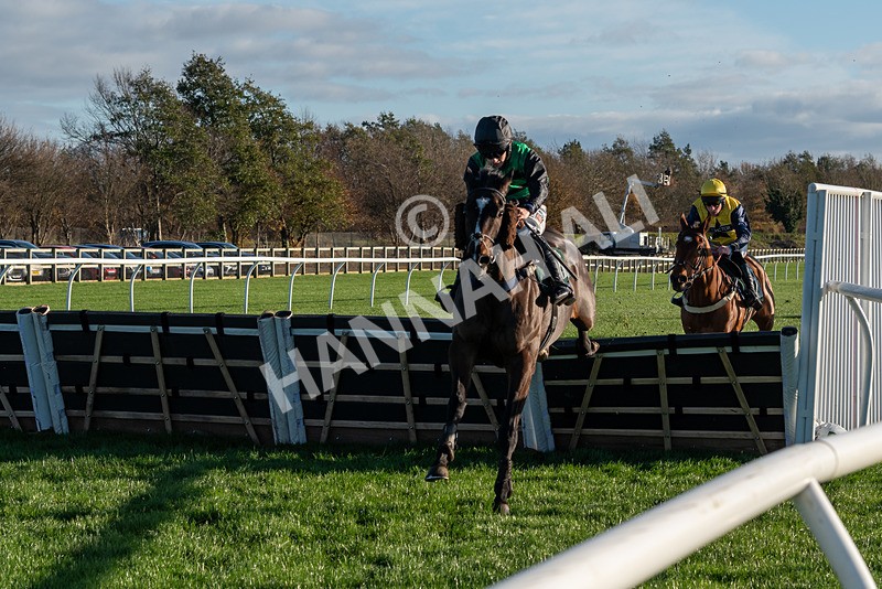 241123-Race 2-Latin Verse-7091 - Race 2