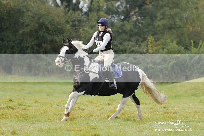  WWHT 171021 0744 - Open Novice (0.80m)  17/10/21