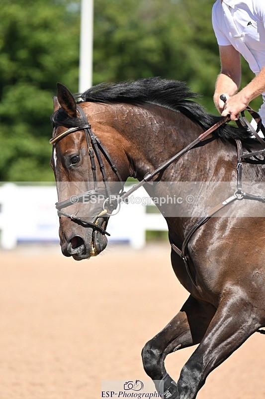 250709-110912-00287 - Cls 2 Snr Discovery & 1m Open