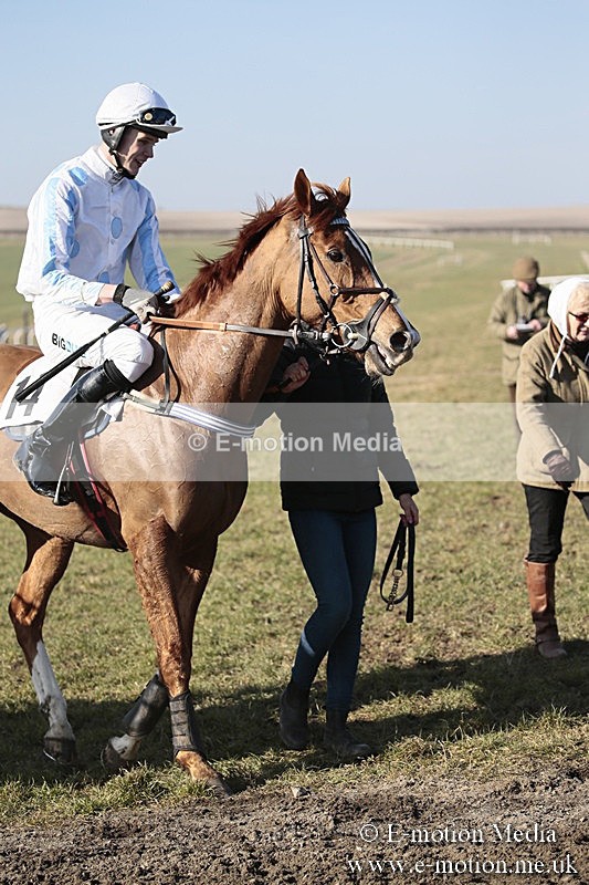PtP 240218 424 - Vine & Craven Hunt Point-to-Point Barbury racecourse 24/02/18