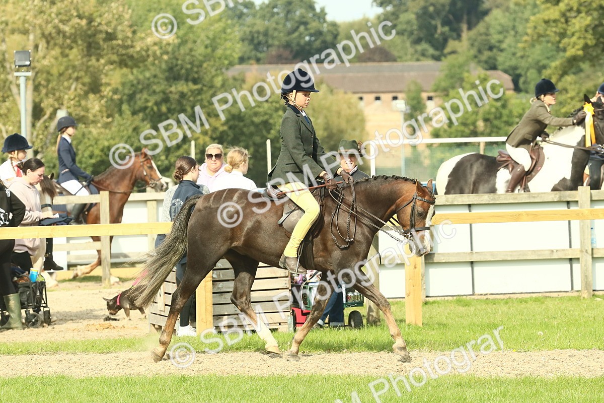 SBM_69027 - S58 - Mini Show Cob Ridden