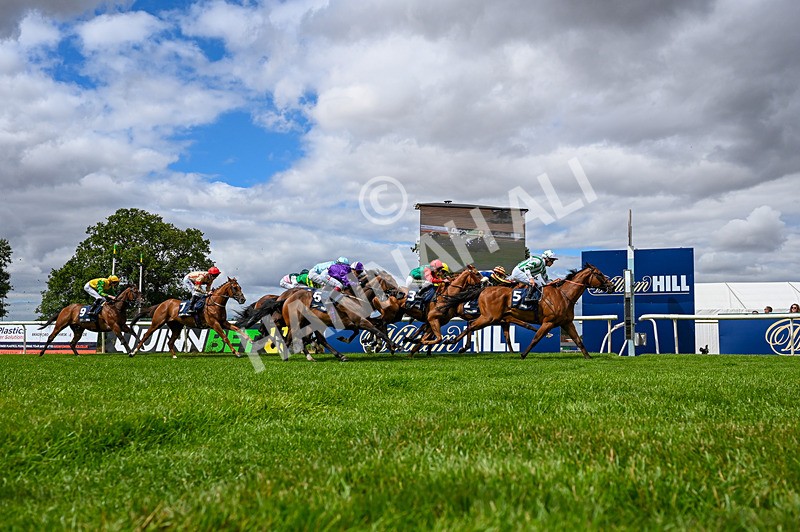 010826-Race 2-Witch Hunter-4869 - Race 2 14.08pm William Hill Summer Cup Handicap