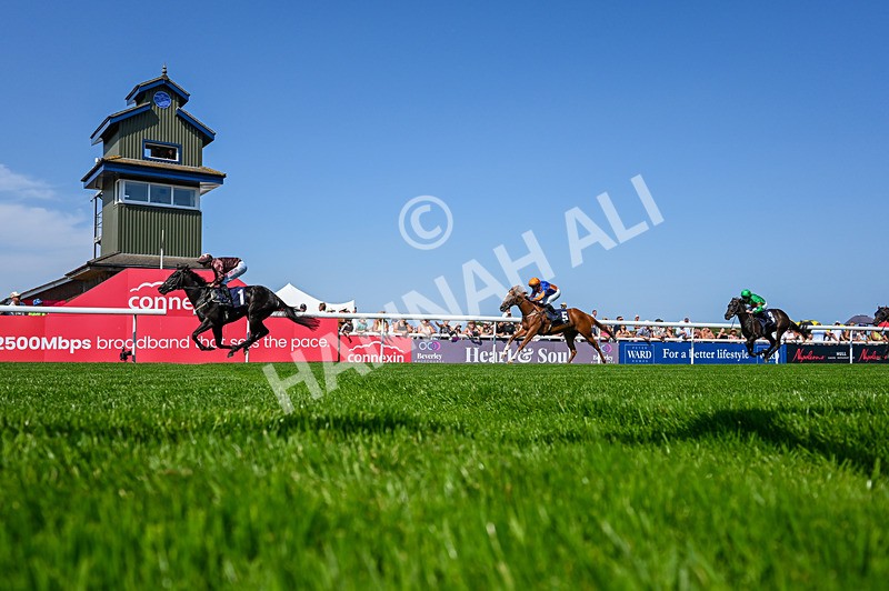 130826-Race 2-Concert Pitch-5259 - Race 2 14.45pm Welcome Racing TV Club Members Nursery Handicap