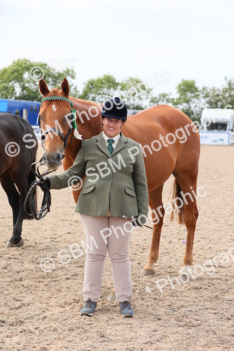 SBM_15980 - Class 313 IH Retired Racehorse