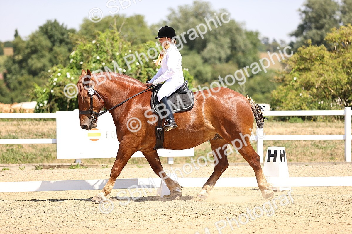 SBM_004131 - Intro 2