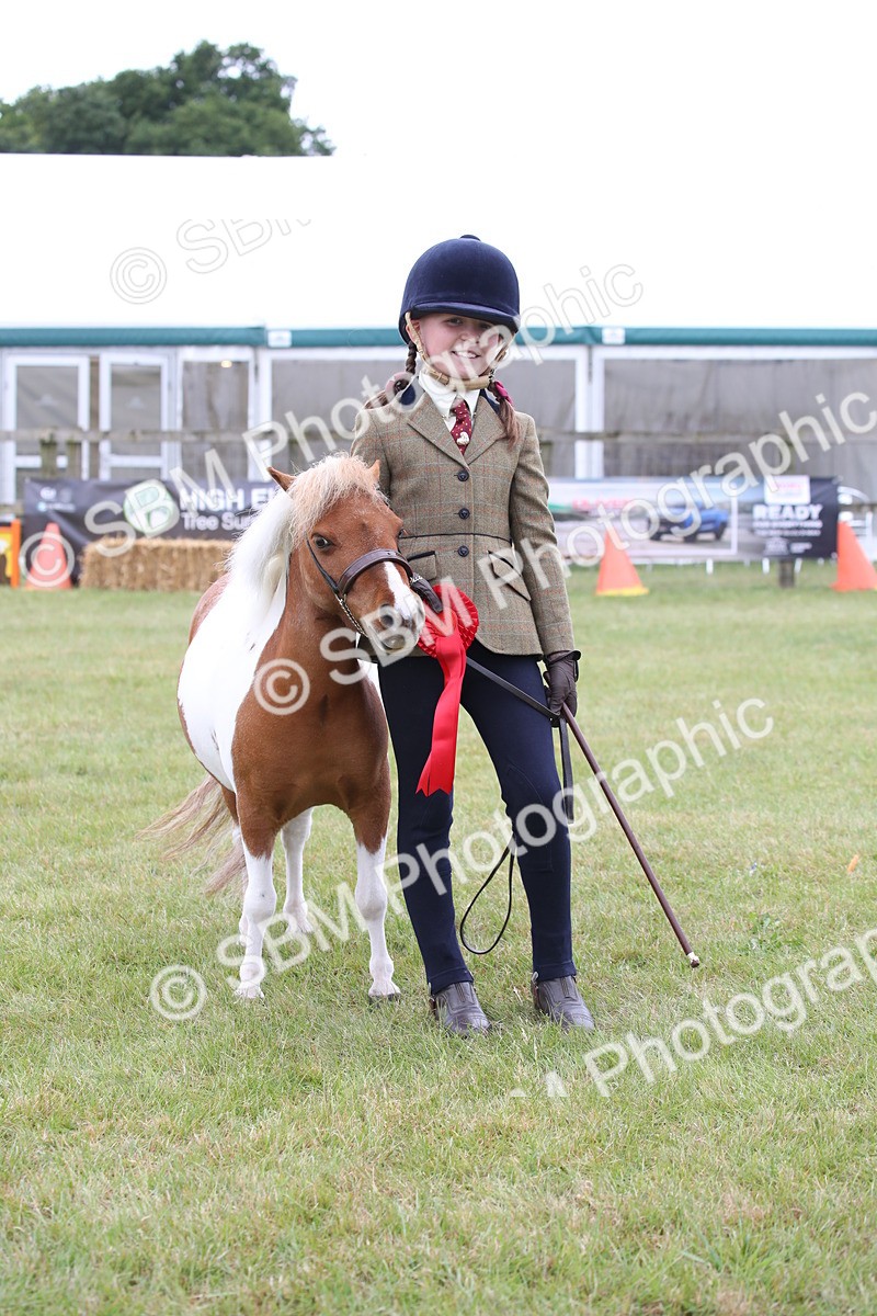 SBM_04010 - Class 23-25 - British Miniature Horse of the Year