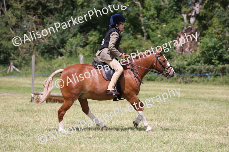 20260614-1943 - Class 21 - Novice Working Hunter Pony