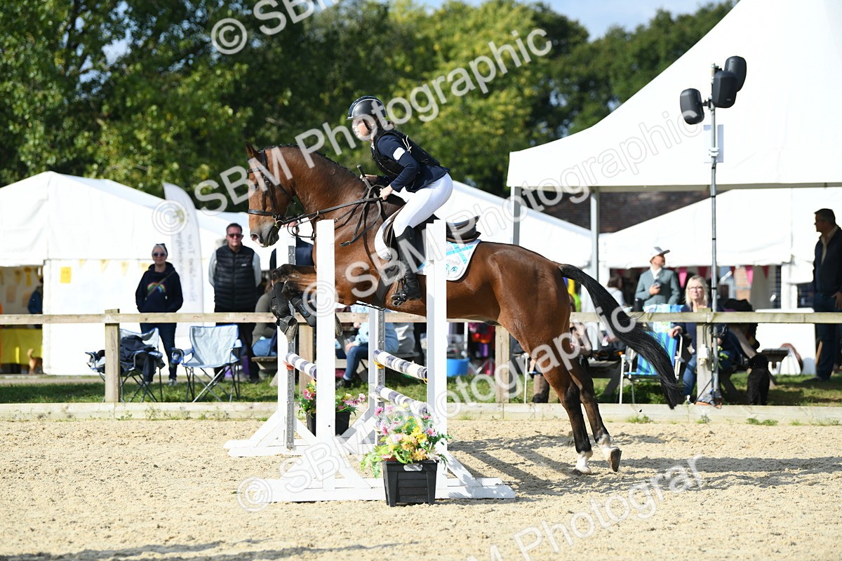 SBM_61528 - j25 - Junior Horse 80cm Championship