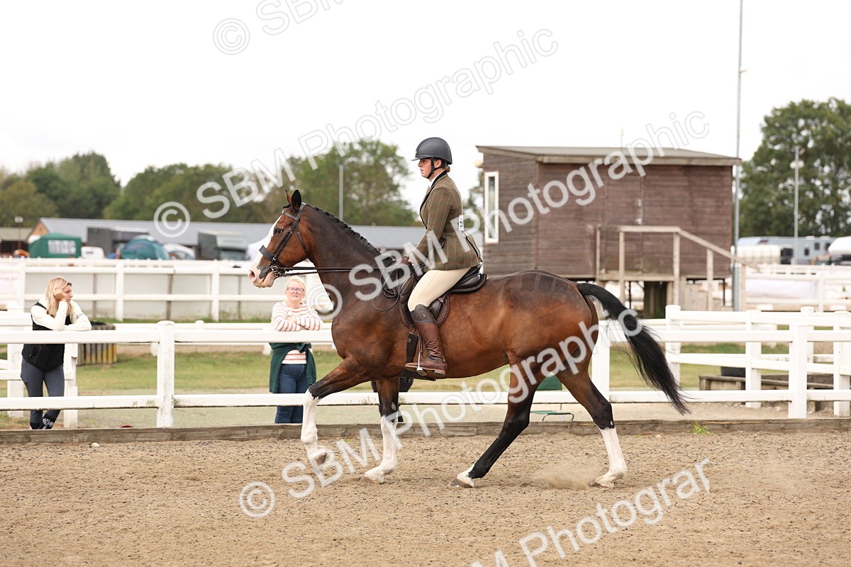 SBM_02875 - Class 53 - Ridden Competition Horse/Pony