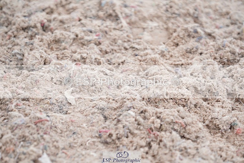 250607-123844-00951 - Cls 31+33 Club and Schools 1m