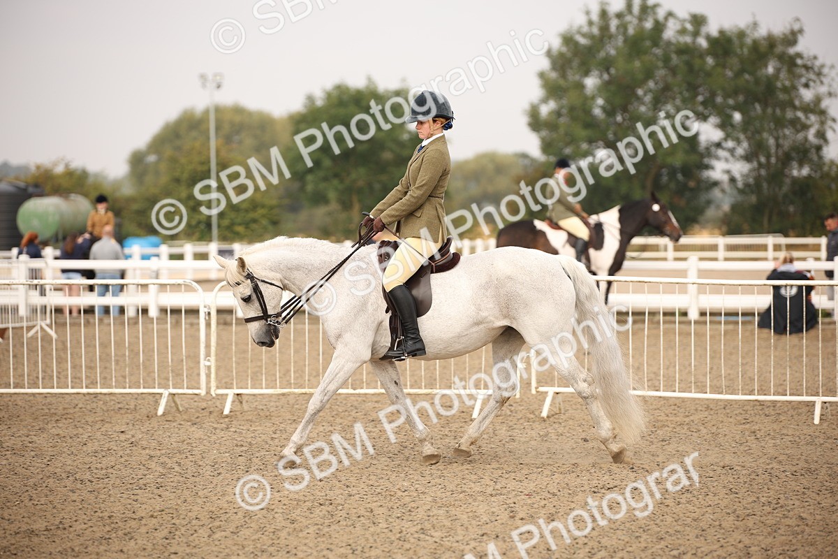 SBM_09809 - Class 401 Riding Club Pony