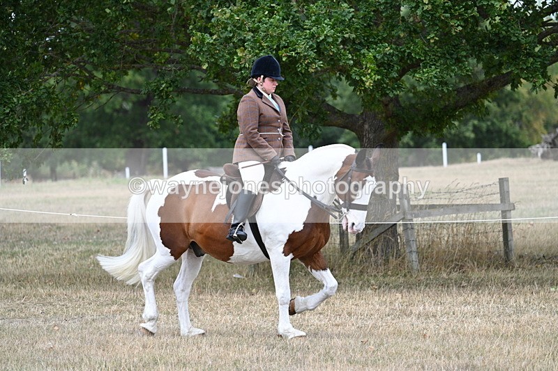 WJ7_4781 - Class 12 Ridden Cob