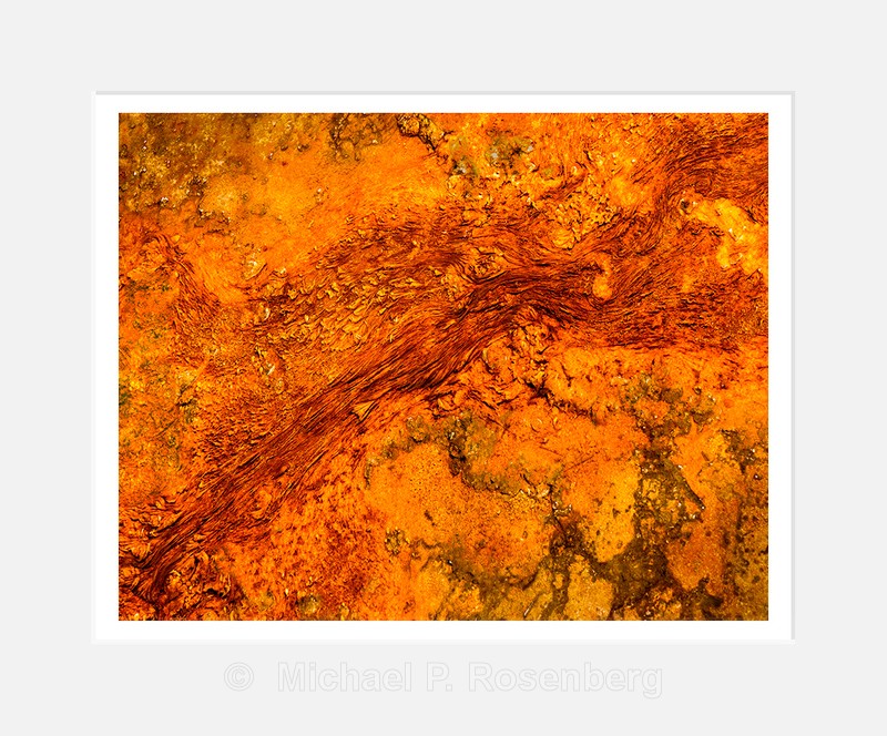 Abstract in Orange - Natural Abstracts