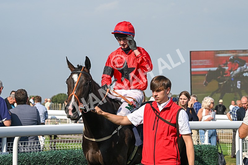 240825-Race 4-Lady Hornblower-3097 - Race 4