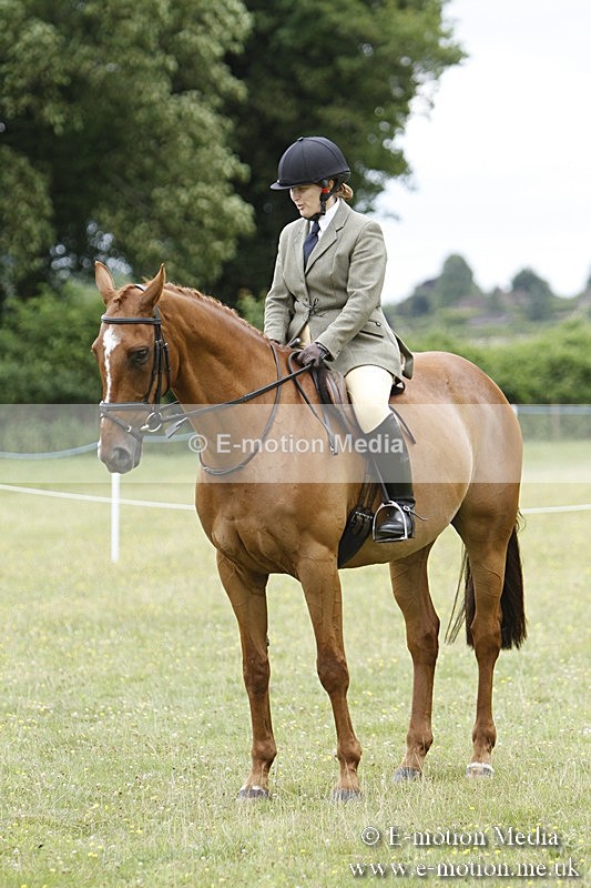 BVR160717-1704 - Ring 3 BVRC Show 16/07/17