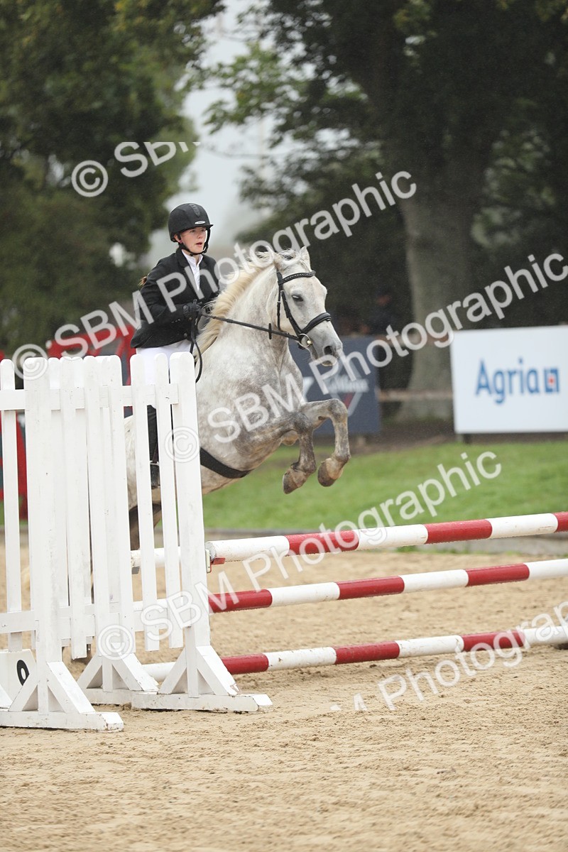 SBM_73882 - J16 - Junior Pony 75cm Championship