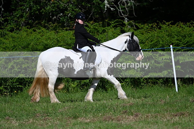 WJ7_0669 - Class 8 First Rally Pony