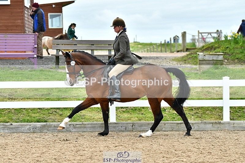 230416A-143112-05253 - Cls 74 Warmblood