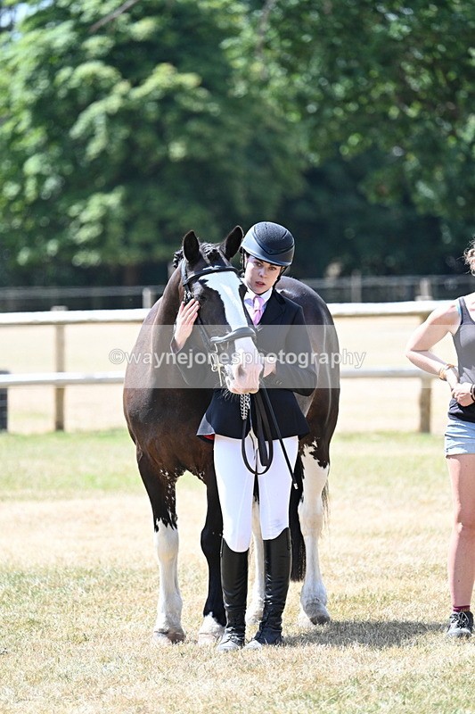 WJ7_2036 - Class 4a Prettiest Mare 14.2hh and over hand