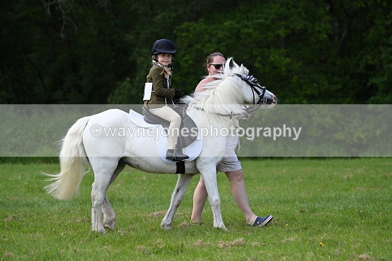 WJ7_1710 - Class 11 Condition & Turnout