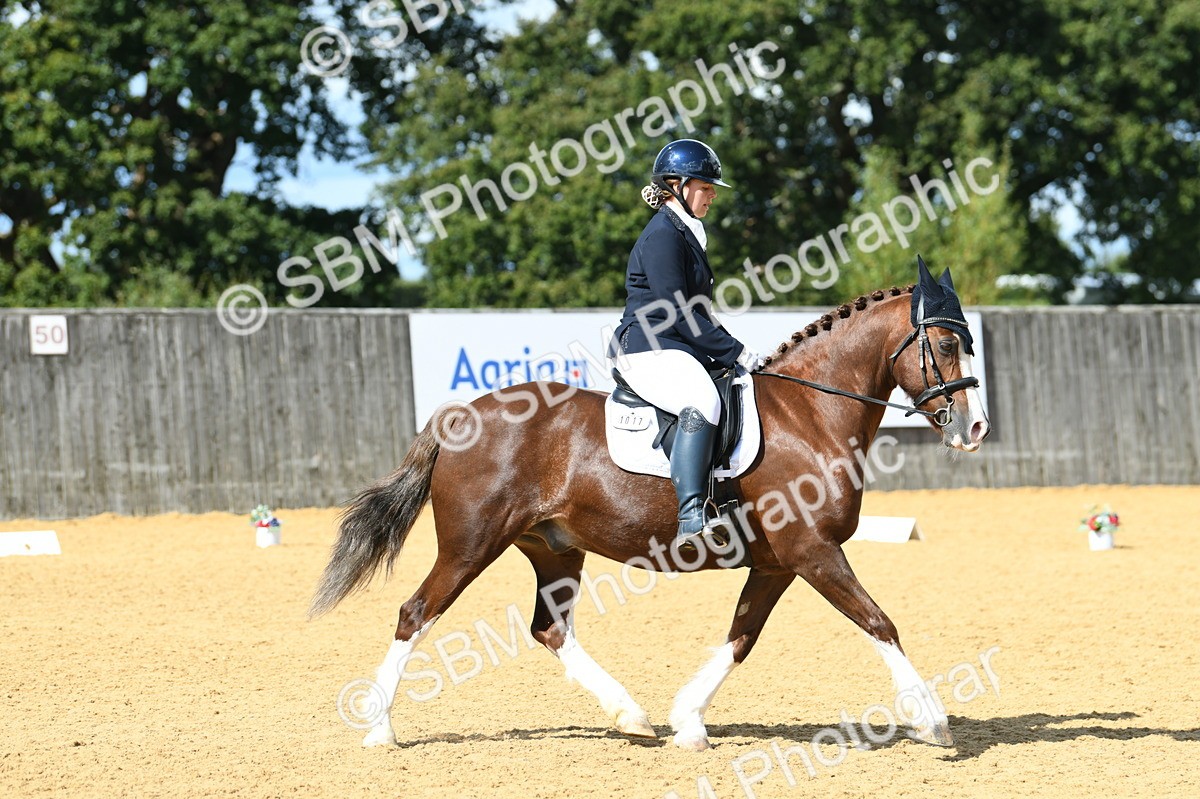 SBM_06416 - D15 Small Tour Championship Novice 24