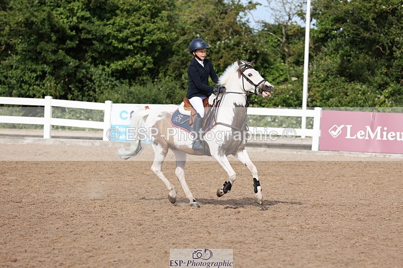 240629A-085931-02796 - Cls 16 British Novice and 80cm Open